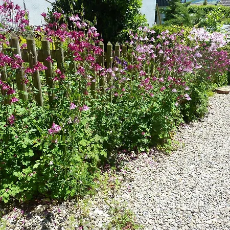 דירה Hoeri Ferien *